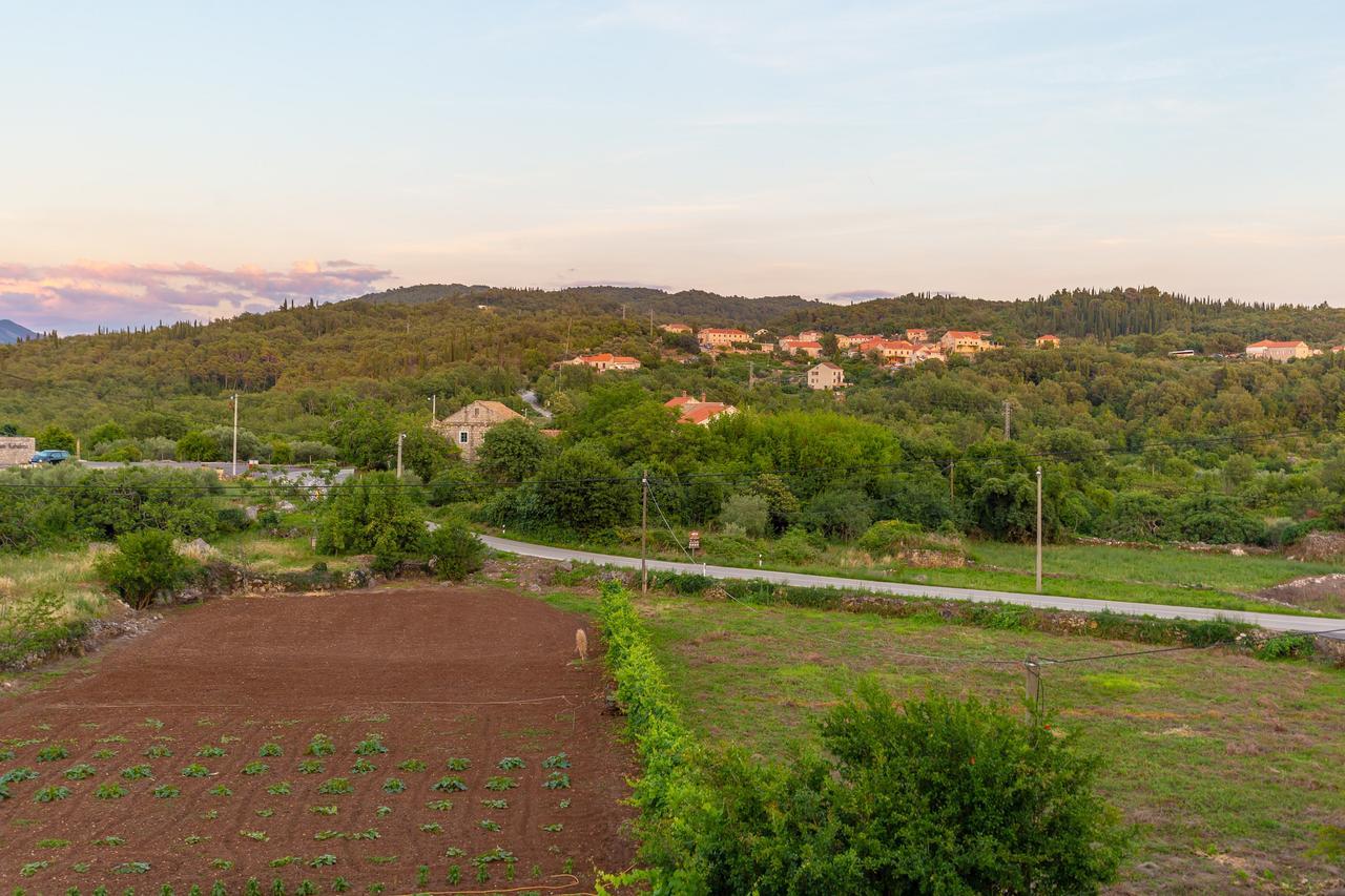 Konavle Apartments Zlatovisce Груда Экстерьер фото